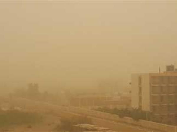 周六，埃及全境出现了多尘多雨的天气